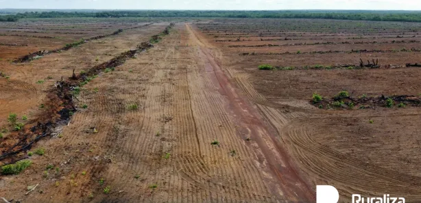 Fazenda / Sítio / Chácara à venda, 832m² no , Cristalândia