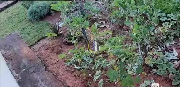 Fazenda / Sítio / Chácara com 2 Quartos à venda, 52m² no Cananeia, Pilar do Sul