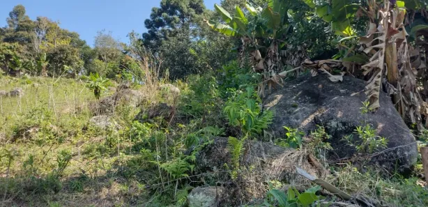 Fazenda / Sítio / Chácara à venda, 12040m² no , Piedade