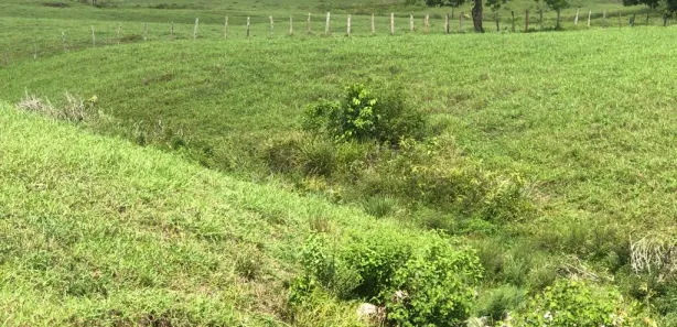 Fazenda / Sítio / Chácara à venda, 1875000m² no , São José da Laje