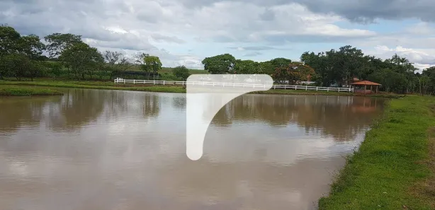 Fazenda / Sítio / Chácara com 4 Quartos à venda, 350m² no , Leópolis