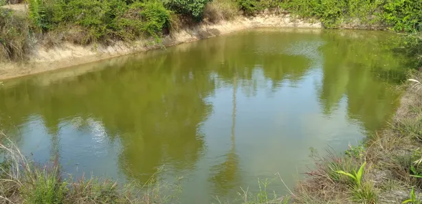 Fazenda / Sítio / Chácara com 3 Quartos à venda, 200m² no Centro, Itapecuru Mirim