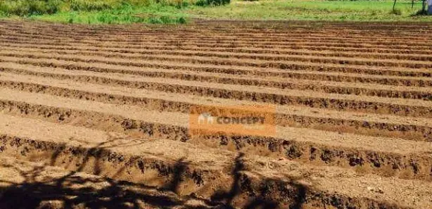 Fazenda / Sítio / Chácara com 8 Quartos para alugar, 450m² no Ipelândia, Suzano