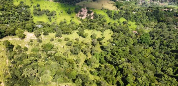Fazenda / Sítio / Chácara com 5 Quartos à venda, 1360000m² no , São Joaquim de Bicas