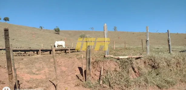 Fazenda / Sítio / Chácara com 3 Quartos à venda, 250m² no , Redenção da Serra