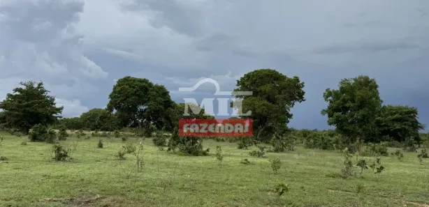 Fazenda / Sítio / Chácara à venda, 500m² no , Formoso do Araguaia