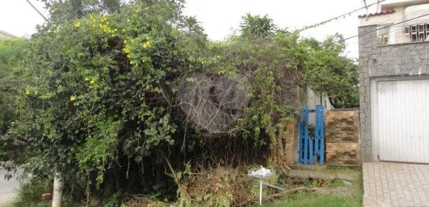 Terreno / Lote / Condomínio à venda, 264m² no Jardim Franca, São Paulo