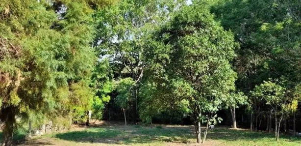 Fazenda / Sítio / Chácara com 2 Quartos à venda, 181m² no Iate Clube de Campinas, Americana