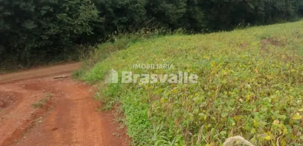 Fazenda / Sítio / Chácara à venda, 5000m² no Barreiro, Cascavel