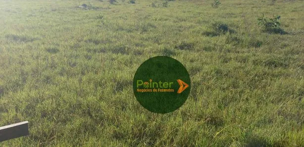 Fazenda / Sítio / Chácara à venda, 7647200m² no , Cristalândia