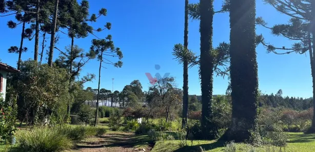 Galpão / Depósito / Armazém à venda, 156963m² no , Campina Grande do Sul