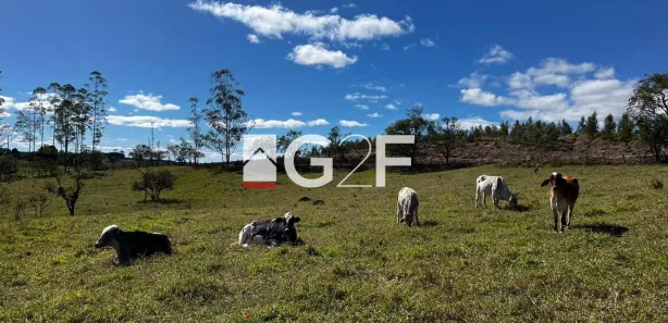 Fazenda / Sítio / Chácara com 3 Quartos à venda, 92000m² no , Pilar do Sul