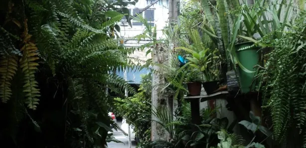 Terreno / Lote / Condomínio com 1 Quarto à venda, 130m² no Vila Albertina, São Paulo