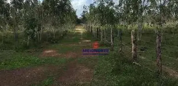 Fazenda / Sítio / Chácara com 1 Quarto à venda, 2260000m² no , Itapecuru Mirim