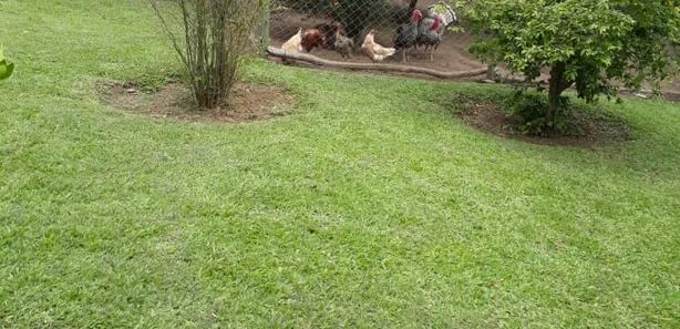 Fazenda / Sítio / Chácara com 4 Quartos à venda, 400m² no Shidarta, Pirapora do Bom Jesus
