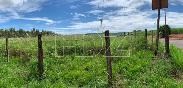 Fazenda / Sítio / Chácara com 5 Quartos à venda, 120m² no Machados, Araraquara