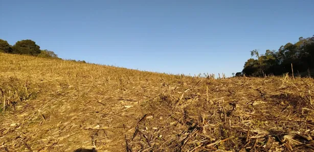 Fazenda / Sítio / Chácara à venda, 48400m² no Pacotuba, Almirante Tamandaré