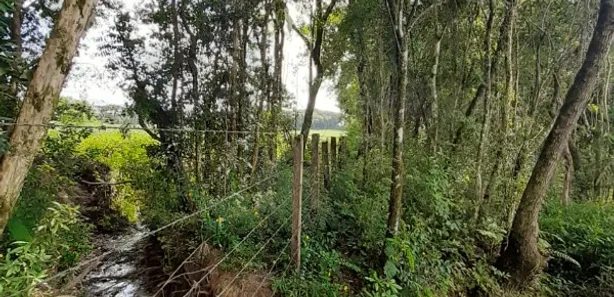 Fazenda / Sítio / Chácara com 1 Quarto à venda, 60000m² no , Contenda