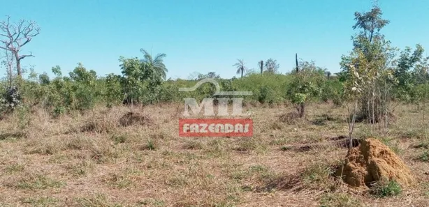 Fazenda / Sítio / Chácara à venda, 500m² no , Guaraí