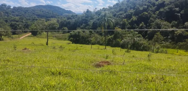 Terreno / Lote / Condomínio à venda, 90000m² no , Cláudio