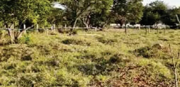 Terreno / Lote / Condomínio à venda, 11364m² no , Sarapuí