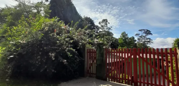 Fazenda / Sítio / Chácara com 2 Quartos à venda, 8372m² no Paiol do Meio, São Lourenço da Serra