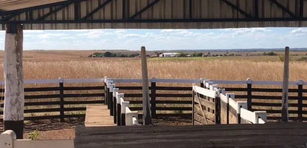Fazenda / Sítio / Chácara à venda, 45300m² no , Divinópolis do Tocantins