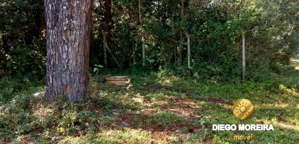 Terreno / Lote / Condomínio à venda, 1242m² no Pirucaia, Mairiporã