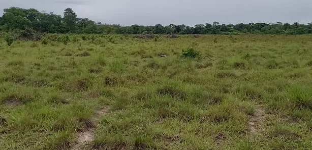 Fazenda / Sítio / Chácara à venda, 200m² no , Ponte Alta do Tocantins