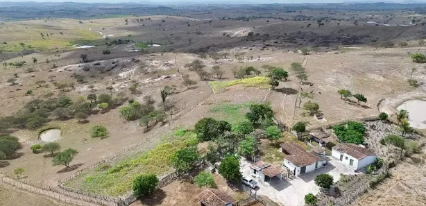 Fazenda / Sítio / Chácara à venda, 230000m² no , Sairé