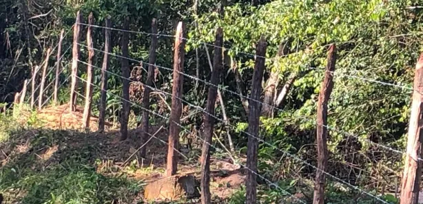 Fazenda / Sítio / Chácara à venda, 700000m² no Centro, Candeias