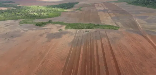 Fazenda / Sítio / Chácara à venda, 100190000m² no , Pedro Afonso