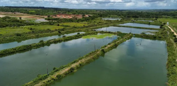 Fazenda / Sítio / Chácara com 2 Quartos à venda, 326000m² no , Pilar