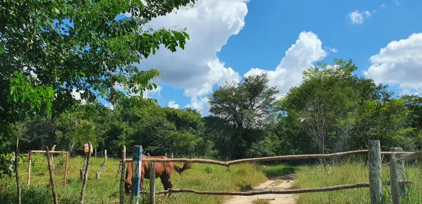 Terreno / Lote / Condomínio à venda, 20000m² no Zona Rural, Fortuna de Minas