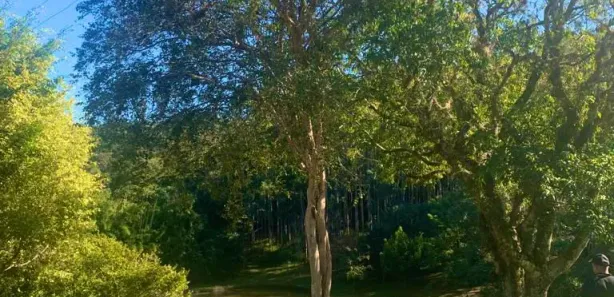 Terreno / Lote / Condomínio à venda, 1000m² no , Alumínio