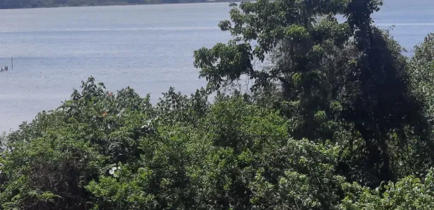 Cobertura com 3 Quartos à venda, 142m² no Porto Novo, Saquarema