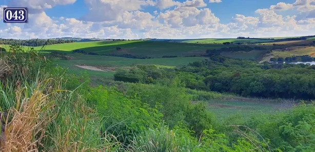 Terreno / Lote / Condomínio à venda, 208000m² no Rodovia, Sertanópolis