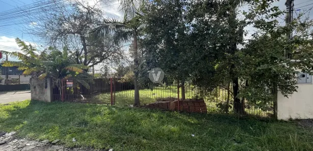 Terreno / Lote / Condomínio para alugar, 312m² no Juscelino Kubitschek, Santa Maria