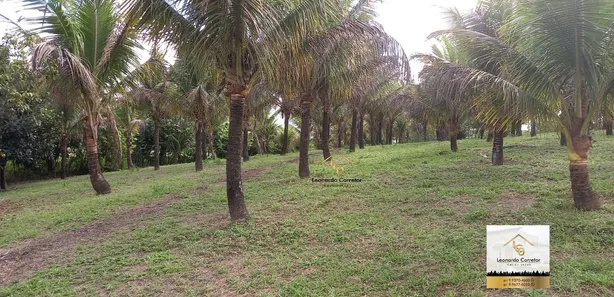 Fazenda / Sítio / Chácara com 7 Quartos à venda, 36000m² no Gravatá Centro, Gravatá