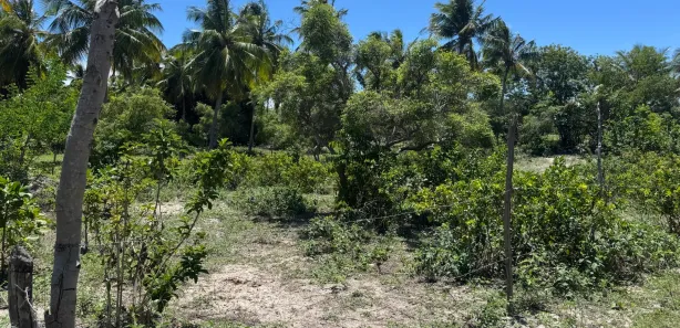 Casa com 1 Quarto à venda, 50m² no , Pirambu