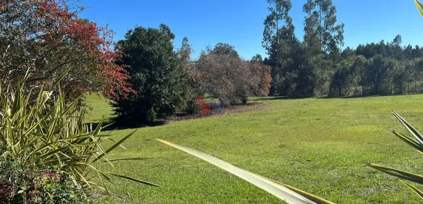 Galpão / Depósito / Armazém à venda, 156963m² no , Campina Grande do Sul