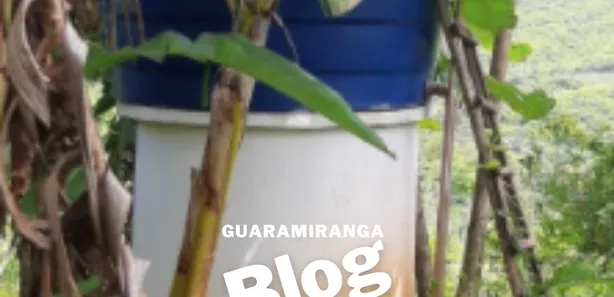Fazenda / Sítio / Chácara à venda, 50m² no , Pacoti