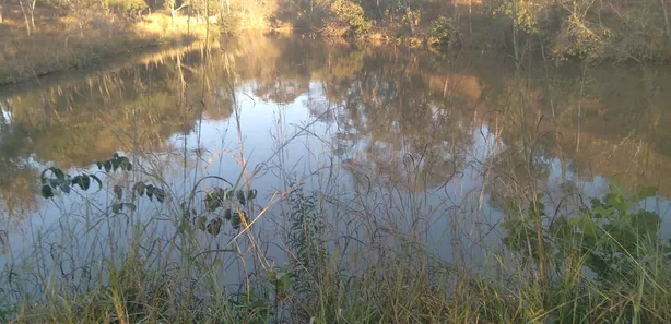 Fazenda / Sítio / Chácara à venda, 150m² no Centro, Padre Bernardo