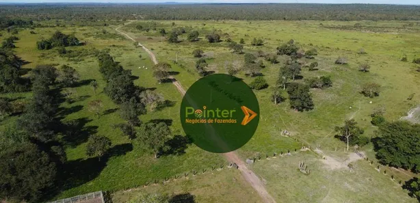 Fazenda / Sítio / Chácara à venda, 7647200m² no , Cristalândia