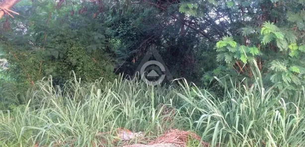 Terreno / Lote / Condomínio à venda, 700m² no Caminhos de San Conrado (Sousas), Campinas