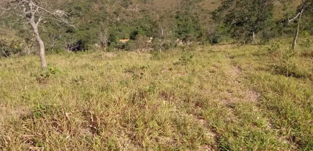 Fazenda / Sítio / Chácara com 2 Quartos à venda, 968000m² no , Padre Bernardo