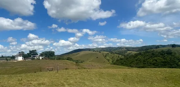 Fazenda / Sítio / Chácara à venda, 10000m² no , Canhotinho