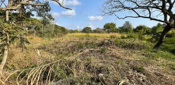 Fazenda / Sítio / Chácara com 4 Quartos para alugar, 373m² no Chácaras Rurais Guararema, Jacareí