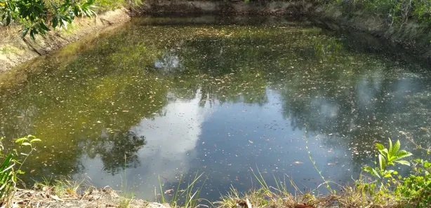 Fazenda / Sítio / Chácara com 3 Quartos à venda, 200m² no Centro, Itapecuru Mirim