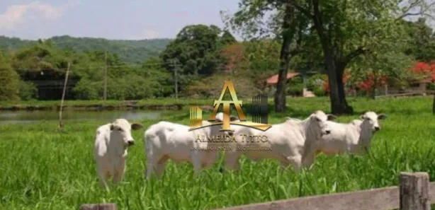 Fazenda / Sítio / Chácara com 2 Quartos à venda, 100m² no , Miranda